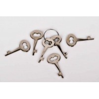 ALCYON - Ersatzschlüssel Schlüssel für Handschellen